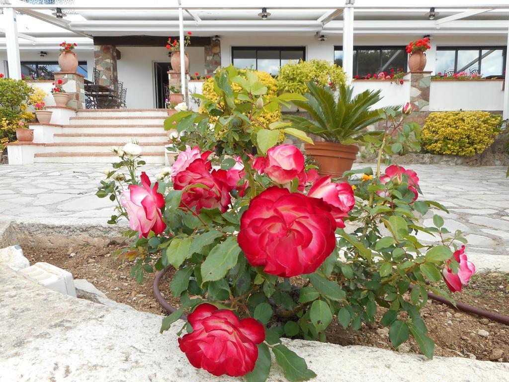 Hotel La Quietude Les Issambres Bagian luar foto